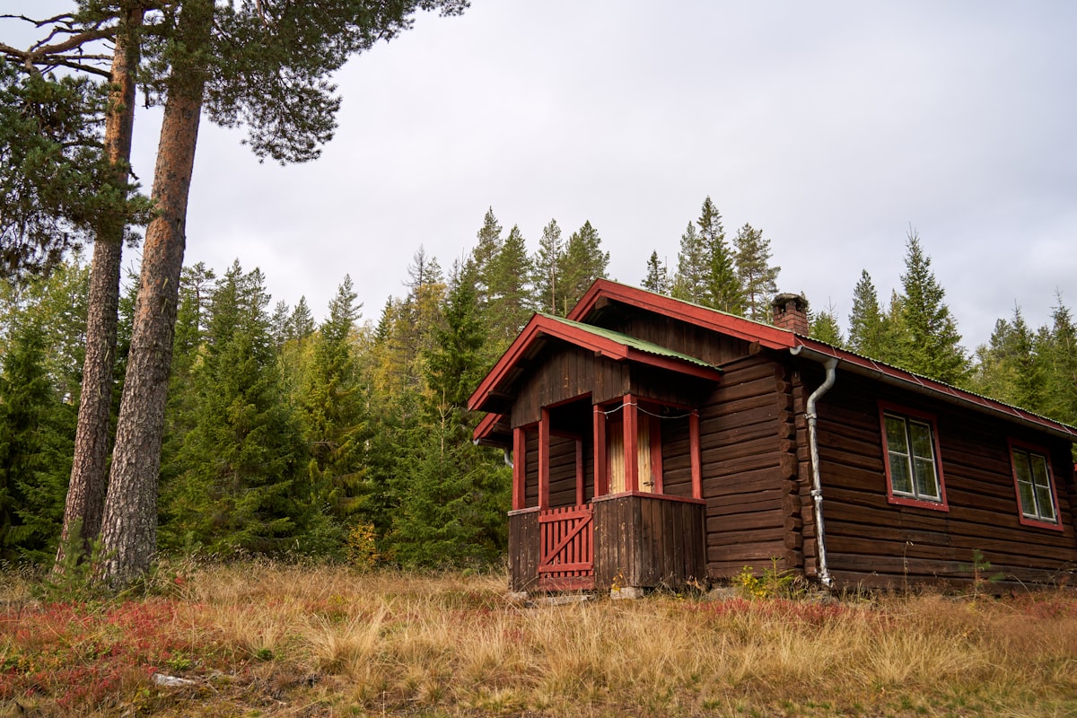Backyard cabin studio with covered porch